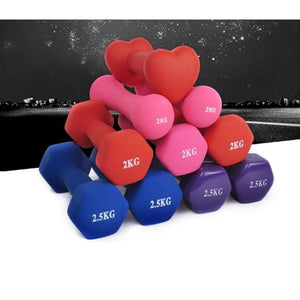 4 Colors 0.5kg*1pc  family Sports Fitness Dumbbell